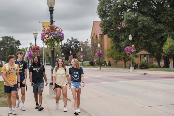 alt text not available