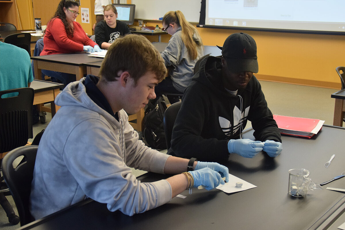 Clarke University Biology Degree Students Studying - Full Size