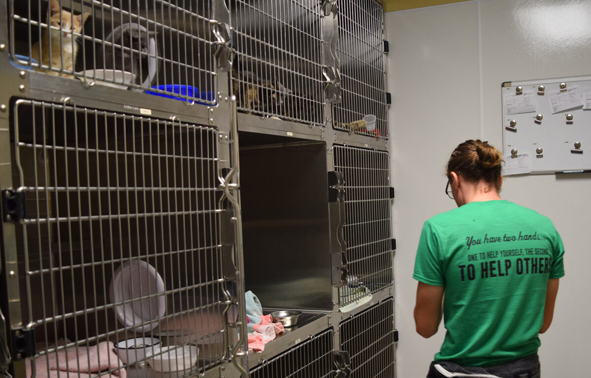 Community Service-Humane Society - Full Size