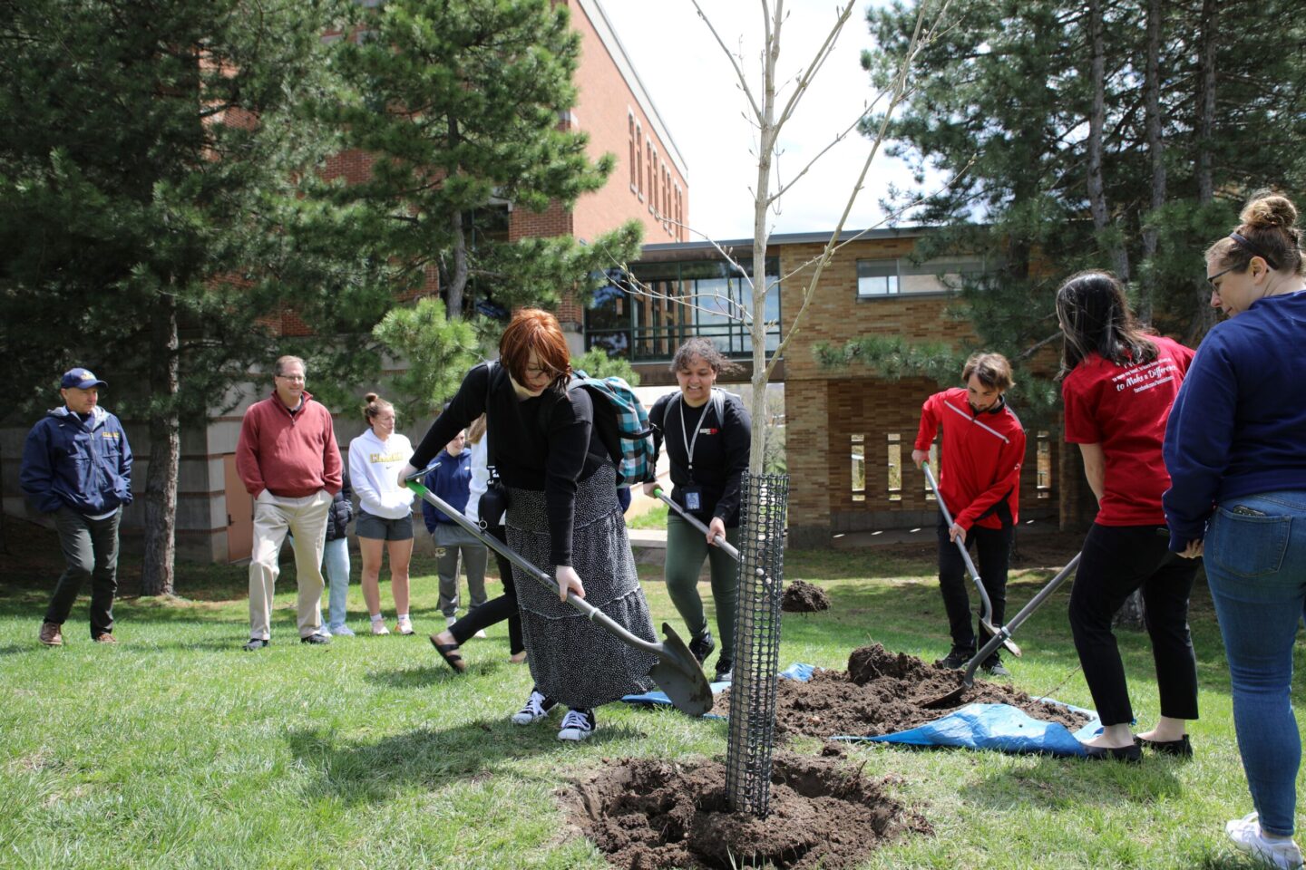 Sustainability at Clarke