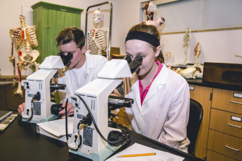 Biology Major Students Engaged in Hands On learning