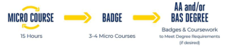 Micro Course to Badge details