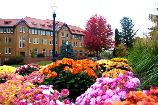 Campus in fall 2